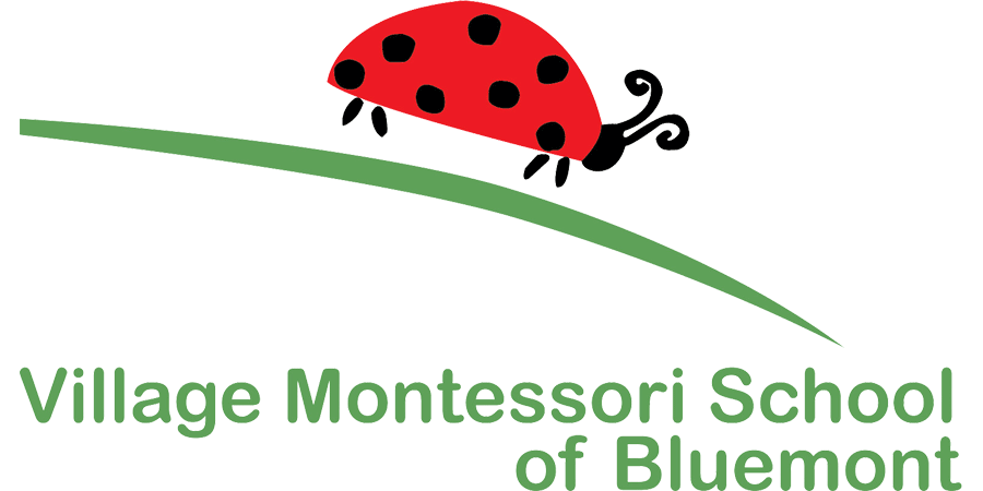 Village Montessori School of Bluemont